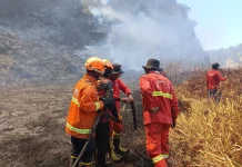 Water Bombing Bromo Tembus 279 Ribu Liter, Api Masih Bertahan di Dingklik