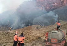 Karhutla Bromo, Tim Gabungan Kejar Target Padam sebelum Jumat