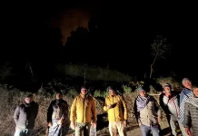 Kebakaran Meluas, Pemkab Probolinggo Tutup Sementara Seruni Point Bromo