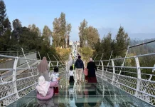 Jembatan Kaca Seruni Point Ikut Ditutup Dampak Karhutla Bromo