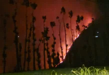Dikepung Api, Seluruh Kamera Pantau PGA Bromo di P30 dan Seruni Point Tetap Fungsi
