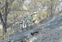 Kebakaran Hutan dan Lahan di Bukit Cinta dan Pakis Bincil Berhasil Dipadamkan