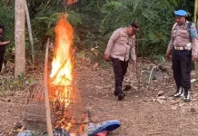 Polres Malang Bongkar Sarana Diduga untuk Sabung Ayam di Pakisaji