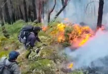 Jalur Pendakian Gunung Arjuno-Welirang Ditutup Total