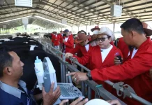 Perkuat Peternakan untuk Ketahanan Pangan, Pemkab Malang Gandeng Pusat