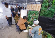 Lucky Garden Kembangkan Moss Art dari Desa Sidomulyo