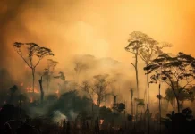 Waspada Dampak Kesehatan Asap Kebakaran Hutan dan Lahan