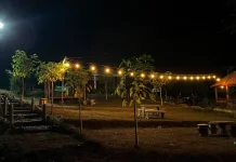 Percantik Bukit Jenggolo, KKN UMM Dukung Pengembangan Wisata dan Ekonomi Lokal
