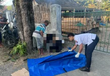 Laka Tunggal di Nglegok Blitar, Motor Tabrak Pohon