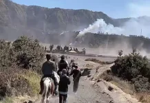 Kawasan Bromo Kembali Terbakar, Api Mendekati Jembatan Kaca Seruni Point