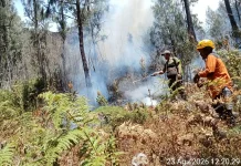 Karhutla di Gunung Arjuno - Welirang Meluas Sampai 300 Hektar