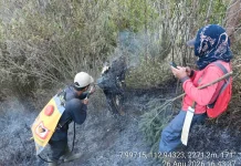 Gunung Semeru Ditutup Total akibat Kebakaran
