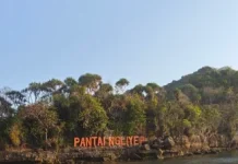 Serunya Menjelajah Pesona Pantai Ngliyep Kabupaten Malang