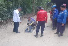 Monyet Peliharaan Diduga Lepas, Damkar Blitar Evakuasi ke Hutan