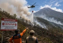 BPBD Jatim Pantau Tiga Kawasan Rawan Karhutla