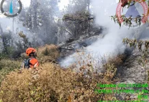 Kebakaran Hutan di Kawasan Gunung Butak Berhasil Dipadamkan Tim Gabungan