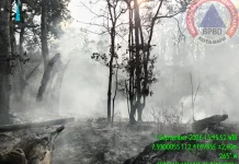 Kebakaran Hutan Kawasan Gunung Butak Dipadamkan, Pendakian Ditutup sementara