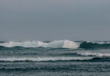 Gelombang Laut Malang Selatan Capai 2,5 Meter, Wisatawan dan Nelayan Diminta Waspad