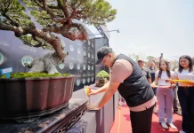 800 Bonsai Unik dan Menarik Ikuti Kontes dan Pameran Tingkat Nasional di Pandaan
