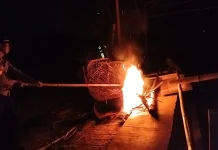 Polres Malang Bongkar Arena Diduga Sabung Ayam di Pagelaran