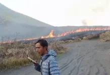 Bukit Teletubbies Bromo Kembali Terbakar, Petugas Gabungan Berupaya Padamkan Api