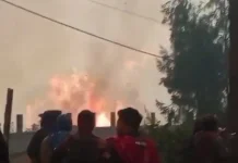 Kebakaran Hutan dan Lahan Bromo Merembet ke Jemplang Kabupaten Malang