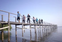 Wisata Bakau to Bakau Probolinggo Ditargetkan Buka Peluang Ekonomi Warga
