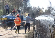 Karhutla Bromo, Sejumlah Titik di Jemplang Padam, Tiga Lokasi Masih Berasap