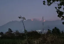 Medan Sulit Angin Kencang, Tim Karhutla Gunung Buthak Andalkan Water Bombing