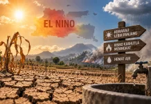 El Nino Diperkirakan hingga Februari 2027, Jatim Diminta Waspadai Kekeringan