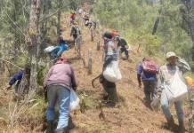 Karhutla Gunung Butak Meluas, Tim Gabungan Siapkan Operasi Darat