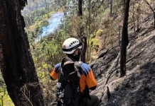 Karhutla Gunung Butak Blitar, Area Terdampak Capai 478 Hektare