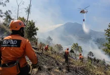 Kebakaran Pegunungan Kawi Capai 1.500 Hektare