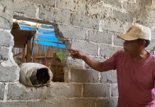 Gudang Selepan Padi di Blitar Dibobol, Hampir 1 Ton Beras Dibawa Kabur