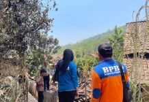 Rumah Warga Pakuniran Roboh Diterjang Angin Kencang, BPBD Salurkan Bantuan