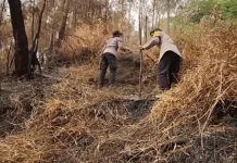 Patroli Karhutla Gunung Butak, Tim Gabungan Masih Temukan Bara Api