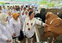 Ketua Komisi IV DPR RI, Titiek Soeharto Kunjungi KUTT Sukamakmur Grati