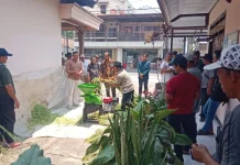 Tim UB Olah Limbah Pertanian Jadi Pakan dan Pupuk di Kediri