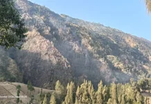 Kebakaran Hutan Terlihat dari Kawasan Bromo, BPBD Terima Laporan Warga