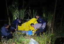 Polisi Selidiki Penemuan Warga Meninggal di Kawasan Hutan Sumber