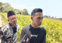 Kesaksian Korban Selamat, Syaiful Ceritakan Detik-Detik KM Virgo Terbalik