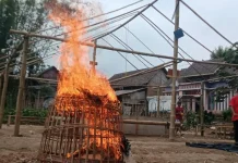 Arena Sabung Ayam di Poncokusumo Digrosok Polisi, Aktivitas Perjudian Dicegah