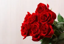 Hari Valentine Bukan Sekadar Cinta dan Hadiah