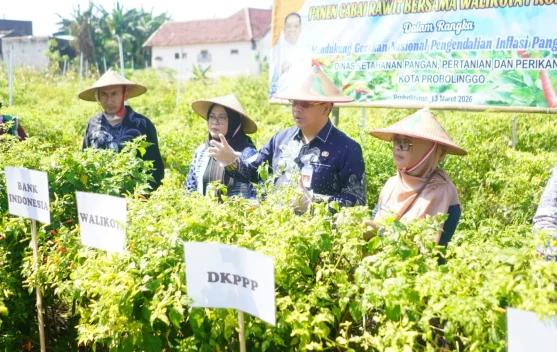 Wali Kota Probolinggo Dorong Inovasi Irigasi Tetes