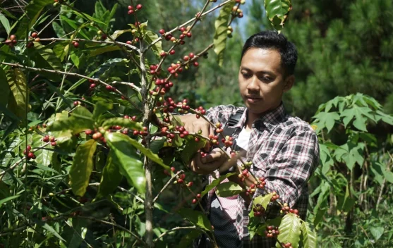 Wonosantri, Gerakan Anak Muda yang Menjaga Hutan Lereng Arjuno