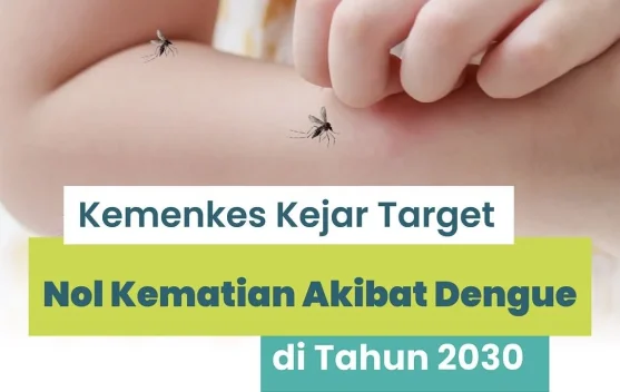 Kemenkes Targetkan Nol Kematian DBD pada 2030