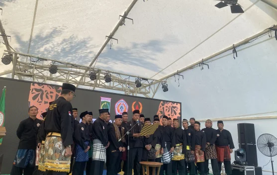 Pencak Silat, Identitas Budaya dan Olahraga Prestasi