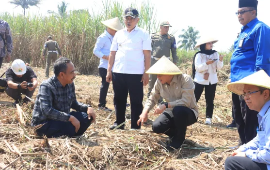 Wamenko Pangan Hanif Faisol Targetkan Swasembada Gula di Gondanglegi Malang