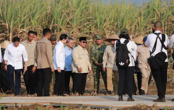 Prabowo Targetkan Peremajaan Tebu Dipercepat Dua Tahun