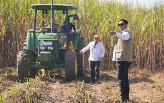 BULOG Perkuat Penyerapan Hasil Panen, Jaga Ketahanan Pangan Nasional